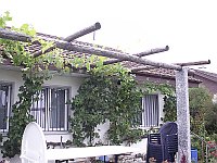Pergolapfosten und Kastanienholz was will man mehr