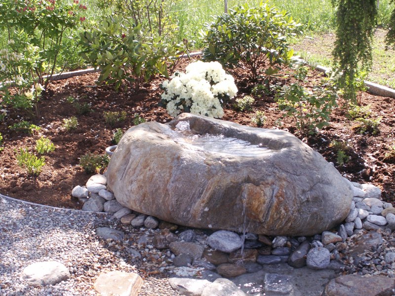 Garten Mit Steinen 2644 was tun mit altem hund Garten Mit Steinen 2644 was tun mit altem hund