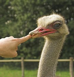 Herzliche Begr&uuml;&szlig;ung