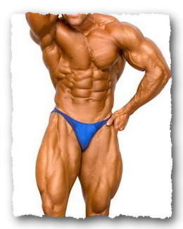 Bodybuilding - Studio-1 in Singen