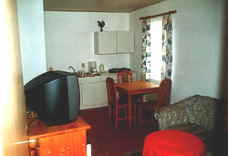 Wohnbereich mit Kochecke