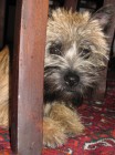 IMG_0018.jpg