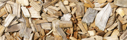 PICT0105.JPG