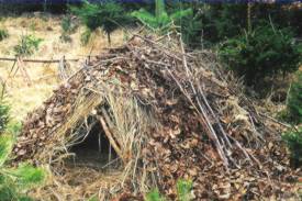 Survival Biwak