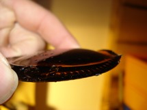 Flintknapping Flaschenboden Pfeilspitze