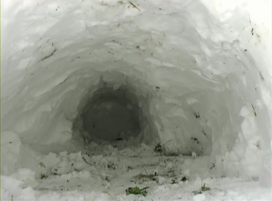schneehöhle