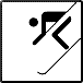 Ski