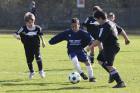 Bild 1 - 1.F (Turnier 06.04.2012)