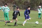 1.F (Turnier 06.04.2012) Bild 11