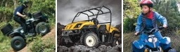 Cub Cadet Panoramabild