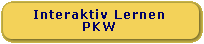 Interaktives Lernen PKW