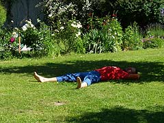 Siesta