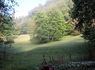 wander impressionen1