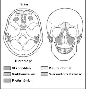 Nebenh�hlen
