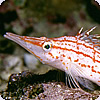Aktuelles
