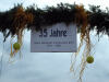 <b>35 Jahre Tennisclub schwarz-gr�n-gold 2.7.2006</b><br>