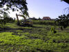 <b>Die Obstplantage mu�te dem Tennisplatz weichen 2.10.2001</b><br>