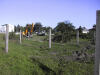 <b>60t B�ume und Wurzelst�cke wurden entsorgt 2.10.2001</b><br>