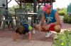 <b>Tenniscamp 2009-2 (Foto: S. Juster)</b><br>