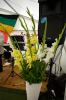 <b>40-Jahr Feier</b><br>