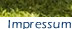 Klicken Sie auf das Bild um es zu vergr��ern
