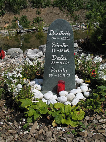 Dessibelle Simba Dalai Panda