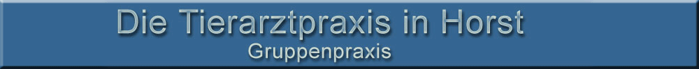Die Tierarztpraxis in Horst