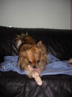 Chipsy