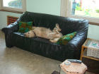Daria...sooo relax Daria...sooo relax