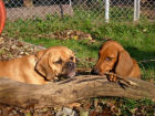 Wilma und Enduro Wilma und Enduro
