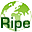 ripe_favicon1f.png