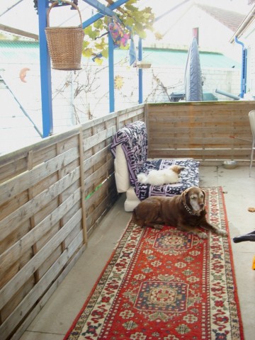 Winterveranda... Winterveranda...