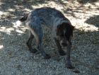 DSC01743_small.JPG