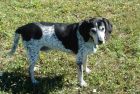 DSC01766_small.JPG