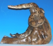Schlangen Schlangen
