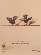 Amsel mit Schwung Amsel mit Schwung