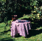 05.jpg