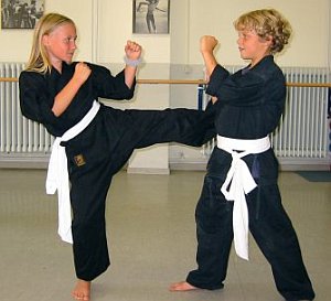 Viet Vo Dao - Kampfsport f�r Kinder im Fitness-Center Mannheim