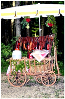 Der Schwäbische Wegelagerer, Tal der Laucher, Pferdespezialist, Kutschfahrt, Most, Bauernvesper, Bauernbrot. Foto: Carola Lenski