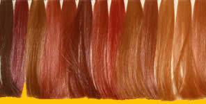 Trend-Frisuren
