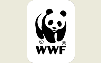 WWF der Panda ist los