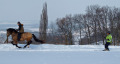 pimur_skijöring2010_011.jpg