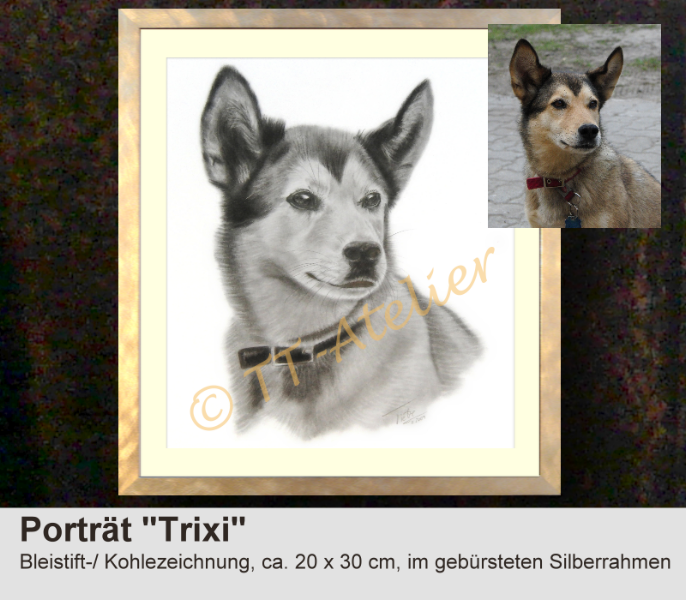 Hundezeichnung