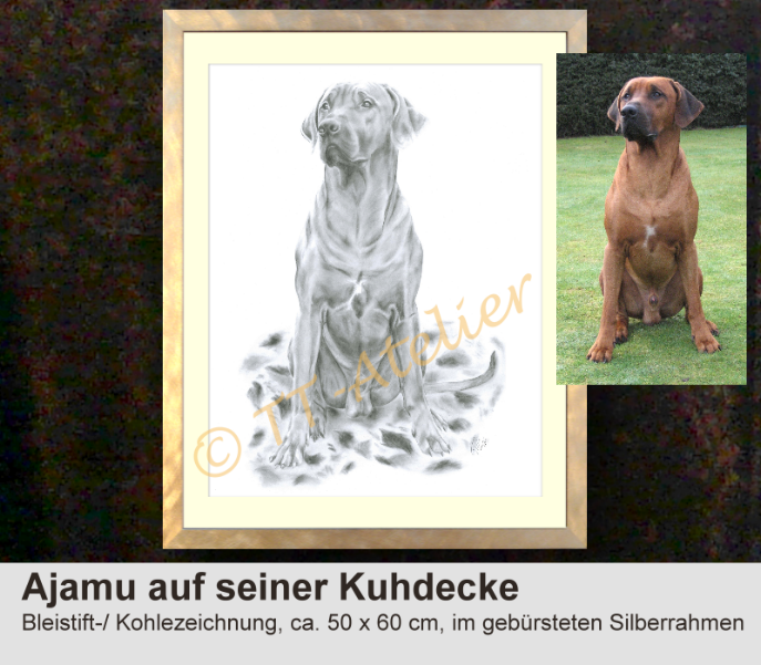 Hund in Kohle