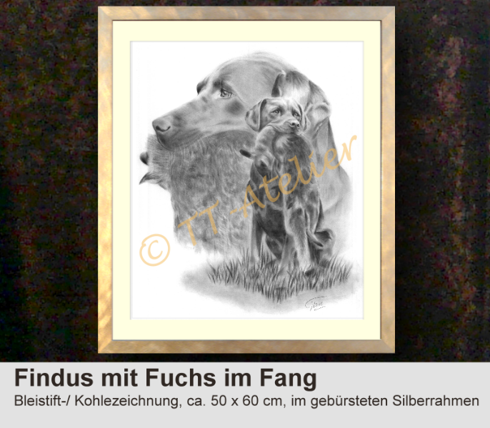 Labrador mit Fuchs im Fang