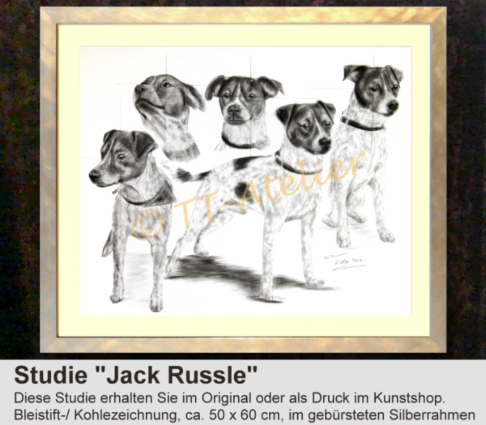 Jack Russle-Studie in Kohle