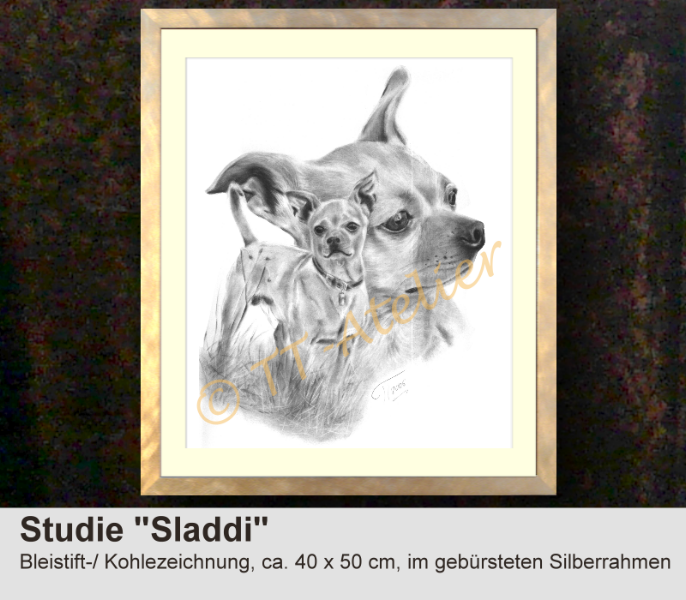 Hundestudie in Kohle