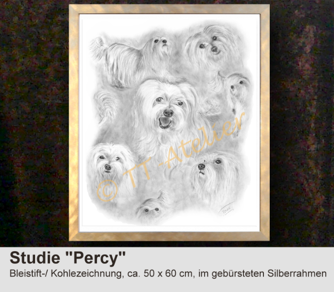 Hundestudie in Kohle