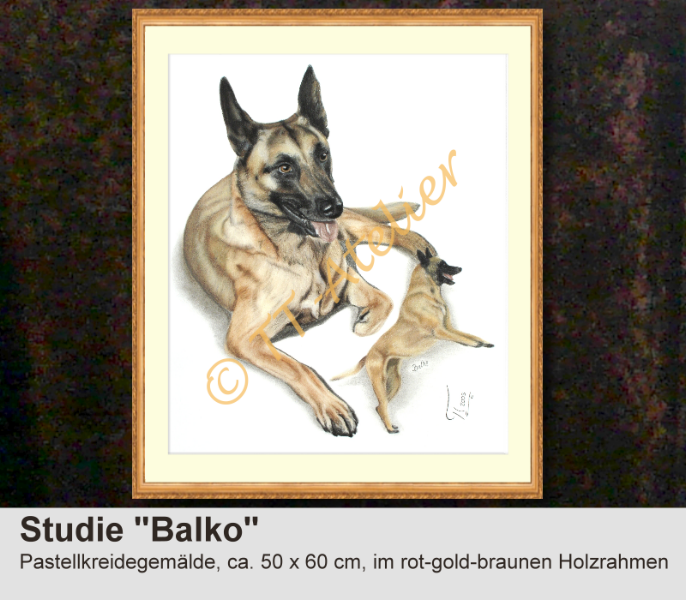 Dt. Schäferhund in Pastellkreide