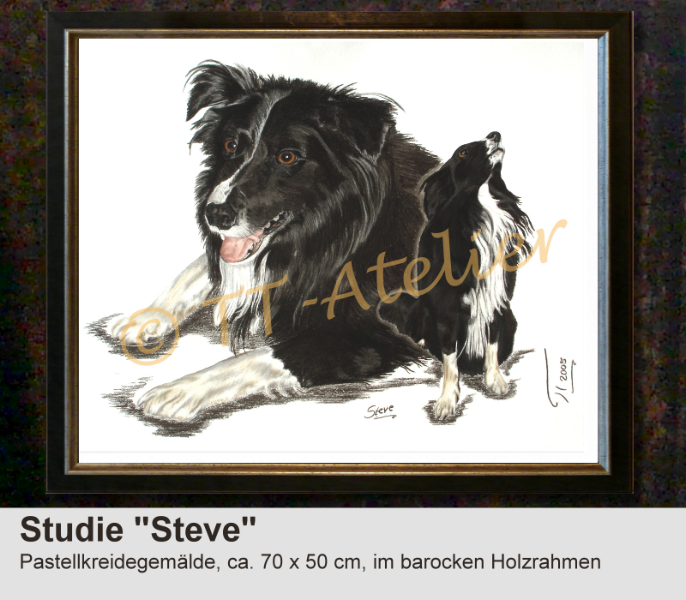 Border Collie in Pastell